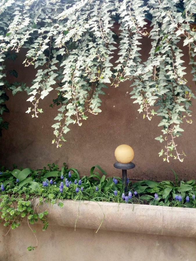 Green House Kachretʼi Exterior foto